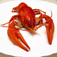 poui