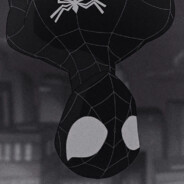?\\\SPiDERS///?