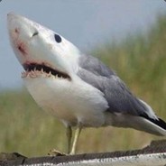 ShaRk Bülbülü