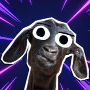 kgbto