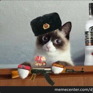 кomЯaдe кот