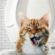 AI Generated Cat In Toliet Water