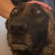 BOB