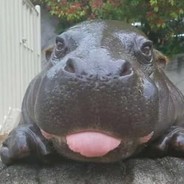 903635922