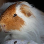 TOUQUI