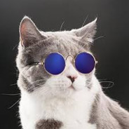 Yeety DeVeetus