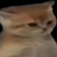 bingus