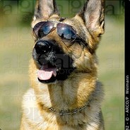 Buster9001