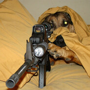 CACHORRO