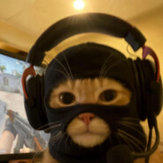 pietrasittoCASE.GIFT  CSGOSKINS