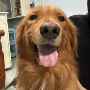 milo