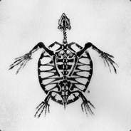 TortugaSix