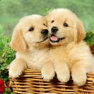 。。。。。。。。