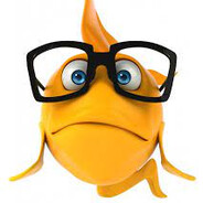 Intelligent Fish