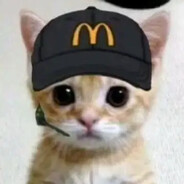 Major ådrig