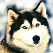 Shen