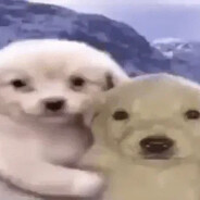 ≠ПØPØIIIØK≠