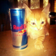 jxm @bandit