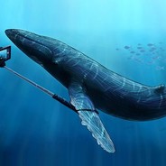 InktheWhale
