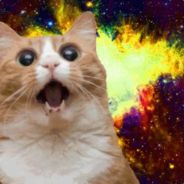 maaaaaow
