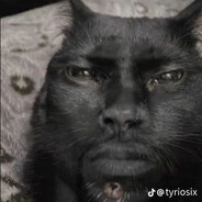 НЕУДРОЧИМЫЙ