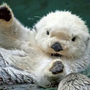 Otters