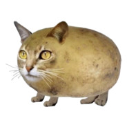 Кошка-картошка