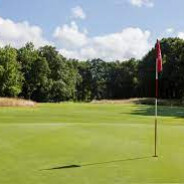 lets go golfing