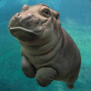 Maxibear