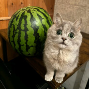 0_o