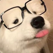 Doggo