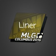 Liner
