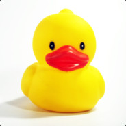 whyDuck