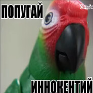 Иннокентий