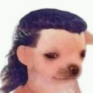 PkDog