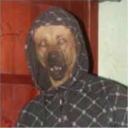 BOA DUSICIEL