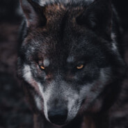 EvilM
