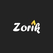 S1ngleTeam ZoR1k