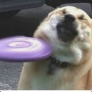 UnderDoggo