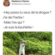 Fb|| OVD
