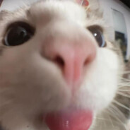 Thomas