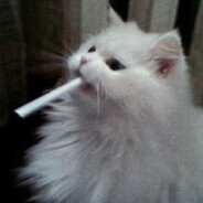 DELYNN