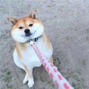 狗