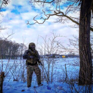 Jawor HoodStories.pl
