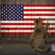 Katmeowz