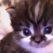 :D