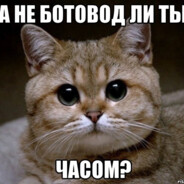 водитель по губам