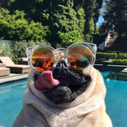 Аватар сообщества Steam