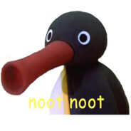 Pingu NOOT NOOT