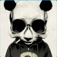 Is Monkey